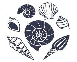 illustration of various seashell silhouettes in a minimalist black and white graphic design. vector