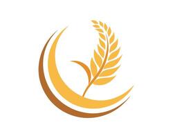 Elegant wheat and grain logo with circular design suitable for agriculture and food businesses vector