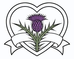 A colorful illustration of a scottish thistle emblem within a heart and ribbon design vector