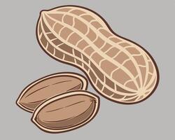 Stylized illustration of a peanut with shelled peanuts on a grey background. vector
