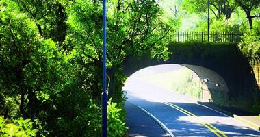 CGI Lush green pathway under bridge surrounded by vibrant trees in daylight video