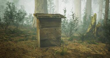 CGI Wooden box stands alone in a misty forest creating a mysterious atmosphere video