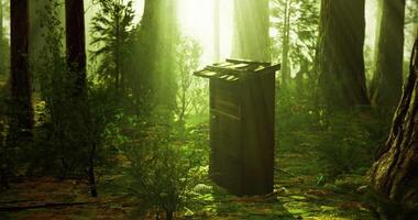 CGI Wooden structure stands in a vibrant forest filled with lush greenery video