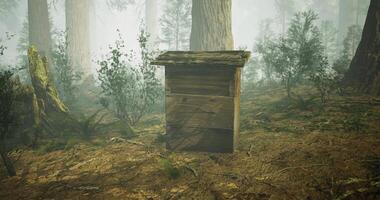 CGI Wooden hive situated in a misty forest surrounded by tall trees in the morning video