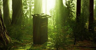CGI Mysterious wooden structure in a sunlit forest clearing video