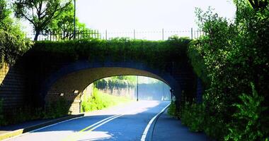 CGI Scenic view of a quiet road passing under a lush green archway video