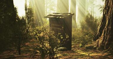 CGI Mysterious wooden structure hidden among tall trees in a sunlit forest video