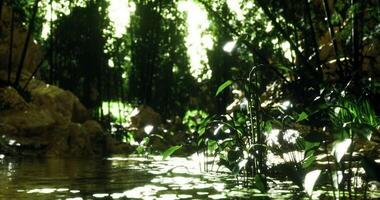 CGI Sunlight streams through a canopy of trees onto a serene forest clearing video