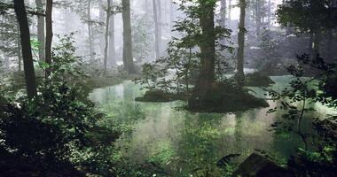 CGI Misty forest with serene pond surrounded by lush greenery and tall trees video