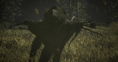 CGI Mysterious scarecrow standing in dense foggy forest during twilight hours video