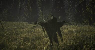 CGI Mysterious figure carrying branches in a dense forest during twilight hours video
