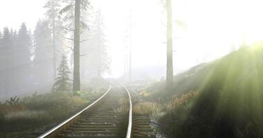 CGI Sunrise illuminating a quiet railway track through misty forest landscape video