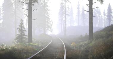 CGI Misty train tracks winding through a forest at dawn with fog rolling in video