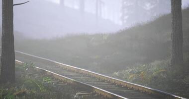 CGI Misty railway tracks winding through a serene forest in early morning light video
