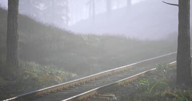 CGI Misty morning view of railway tracks winding through a serene forest landscape video