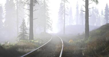 CGI Foggy forest railway path inviting exploration through tall trees video