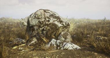 CGI Large weathered rock surrounded by dry grass under a cloudy sky video