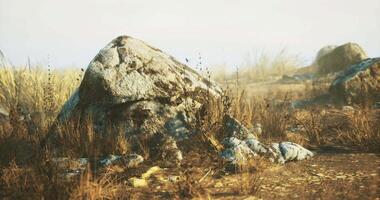 CGI Rock formation amidst dry grass and scattered stones under a clear sky video