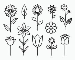 Simple black and white floral illustrations featuring various different flower and leaf designs vector