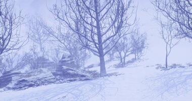 CGI Snowy winter landscape with bare trees in a quiet mountainous area video