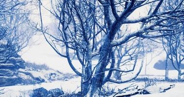 CGI Snow covered forest landscape during winter season in a tranquil setting video