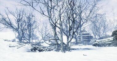 CGI Snowy winter landscape with bare trees and rocky terrain in a quiet setting video