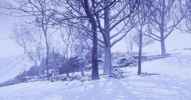 CGI Snow covered landscape with bare trees and a tranquil winter atmosphere video