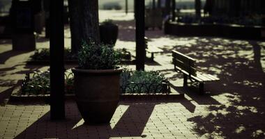 CGI Welcoming park area with flower pots and benches under the afternoon sun video