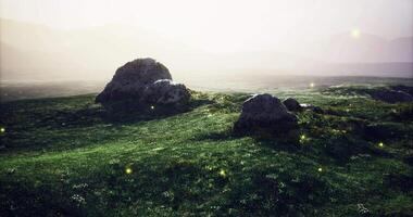 CGI Natural landscape with glowing elements at dusk in a serene setting video