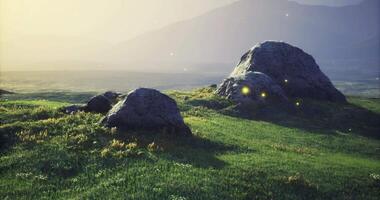 CGI Serene landscape with large rocks and gentle grass under soft sunlight video