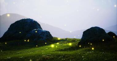 CGI Serene landscape at twilight with glowing elements on grassy hill video