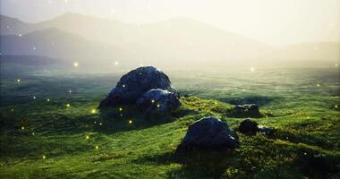 CGI Sunlit landscape with rocks and golden particles in serene setting video