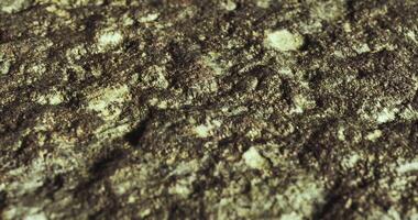 CGI Close up view of textured rock surface in nature with moss and lichen video