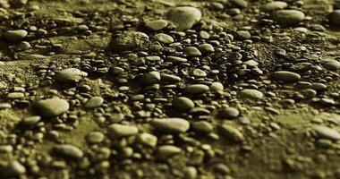 CGI Natural arrangement of pebbles on a sandy shore during daylight hours video