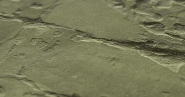 CGI Textured surface showcasing intricate details and natural patterns video