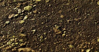 CGI Textured soil with pebbles and rocks in natural environment during daytime video