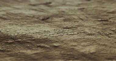 CGI Detailed textured surface showcasing natural patterns in earthy tones video