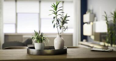 CGI Two potted plants sit in a round tray on a wooden table in a bright living room video