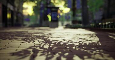 CGI Shadows cast by trees along a peaceful walkway at sunset in a tranquil park video