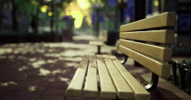 CGI Sunlight shines on empty park benches in a vibrant community space video
