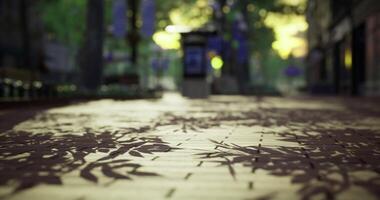 CGI Sunlight filtering through trees creates beautiful shadows on pavement video