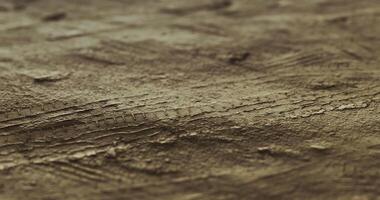 CGI Detailed texture of a brown surface with intricate patterns and lines video