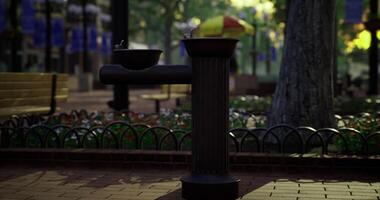 CGI Water fountain in public park during bright sunny day near flower beds video