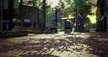 CGI Relaxing evening stroll along tree lined street with beautiful shadows video