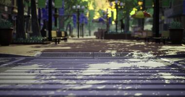 CGI Park pathway with wet crosswalk after a rain shower on a sunny afternoon video