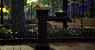 CGI Public water fountain in a park surrounded by flowers and trees video