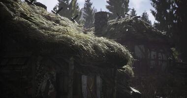 CGI Old rustic dwellings with thatched roofs in a serene forest setting video