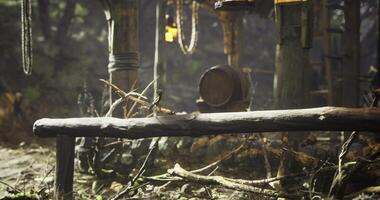 CGI Lush forest setting with a small creature perched on a wooden log video