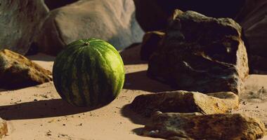 CGI Vibrant watermelon resting on sandy surface surrounded by rocks video