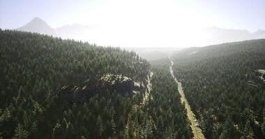CGI Green valley with a winding path under bright sunlight in mountains video
